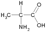 aminokwas